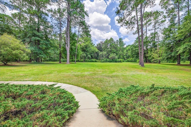 9006 Chayes Ln, Tallahassee, FL 32309 - photo 6