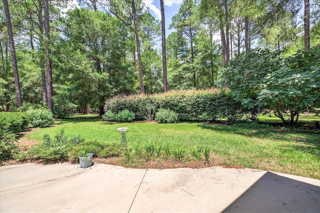 9006 Chayes Ln, Tallahassee, FL 32309 - photo 57