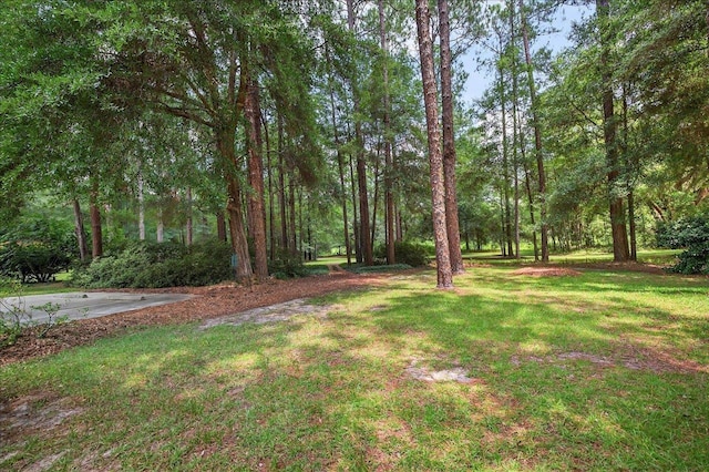 9006 Chayes Ln, Tallahassee, FL 32309 - photo 61
