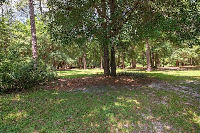 9006 Chayes Ln, Tallahassee, FL 32309 - photo 64