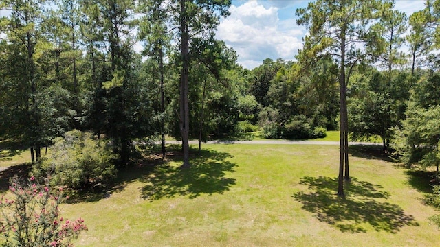 9006 Chayes Ln, Tallahassee, FL 32309 - photo 4