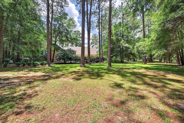 9006 Chayes Ln, Tallahassee, FL 32309 - photo 62