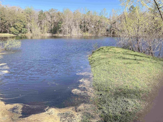 9006 Chayes Ln, Tallahassee, FL 32309 - photo 9