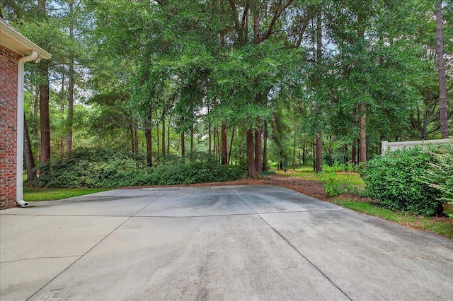 9006 Chayes Ln, Tallahassee, FL 32309 - photo 12