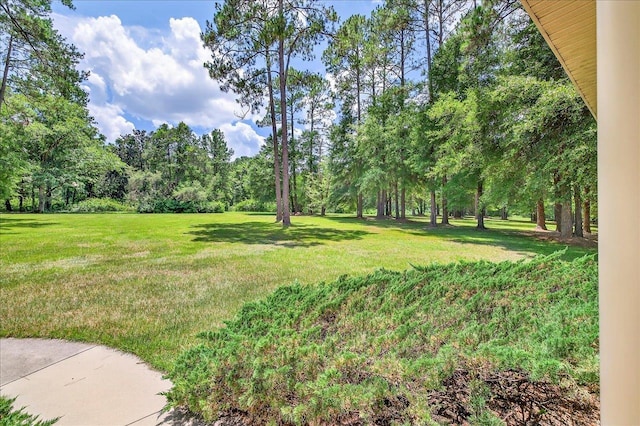 9006 Chayes Ln, Tallahassee, FL 32309 - photo 15