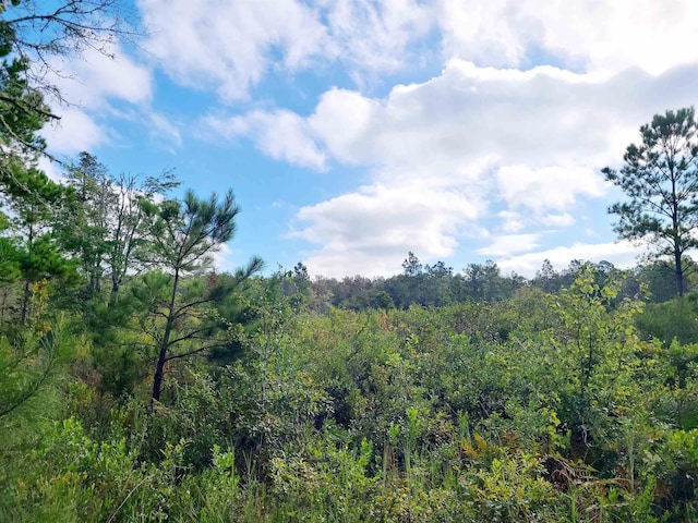 00 SW Wabasso Ter, Greenville FL, 32331 land for sale