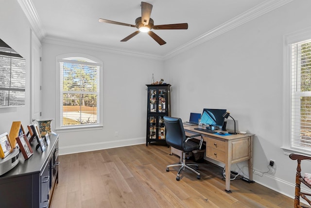 office featuring hardwood / wood-style flooring, ceiling fan, and crown molding