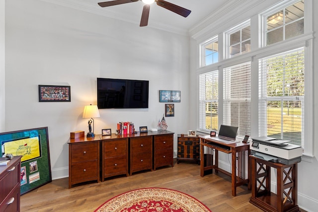 office featuring ceiling fan, ornamental molding, and light hardwood / wood-style flooring