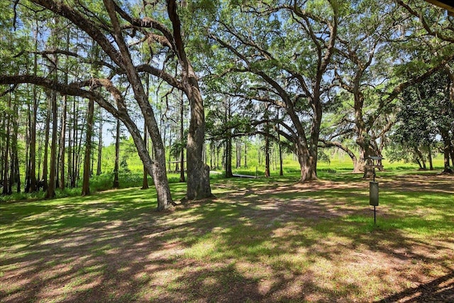 7737 Deepwood Trl, Tallahassee, FL 32317 - photo 44