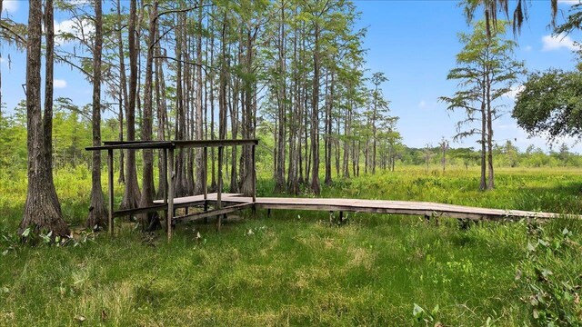 7737 Deepwood Trl, Tallahassee, FL 32317 - photo 59