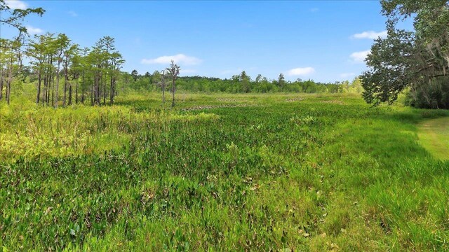 7737 Deepwood Trl, Tallahassee, FL 32317 - photo 61
