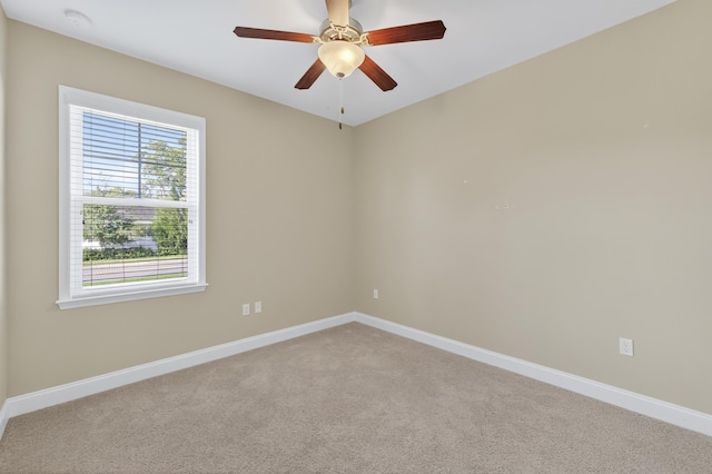 5148 Holly Fern Trce, Tallahassee, FL 32312 - photo 31