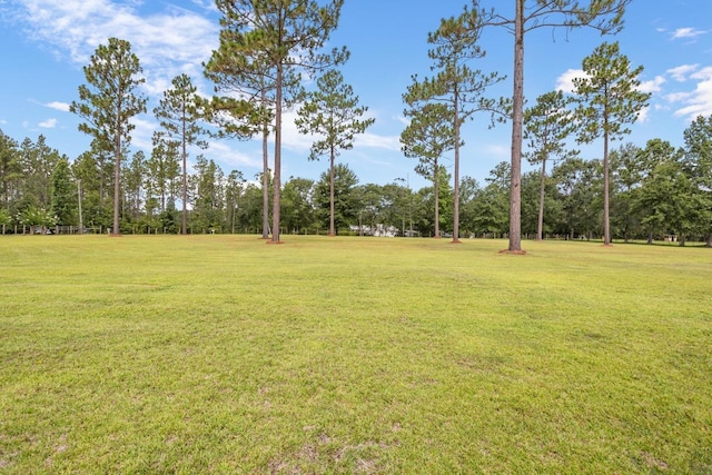 282 Long Leaf Dr, Monticello, FL 32344 - photo 58