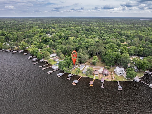 aerial view featuring a water view and a wooded view