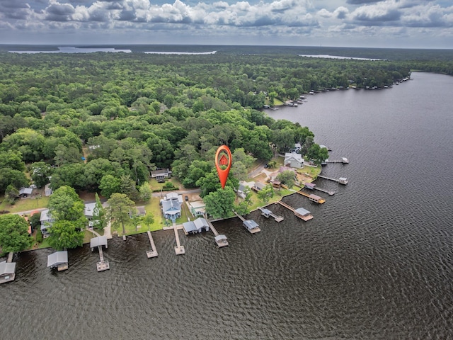 bird's eye view featuring a water view and a forest view