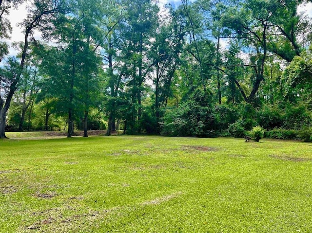 376 Tecumseh Rd, Monticello, FL 32344 - photo 5