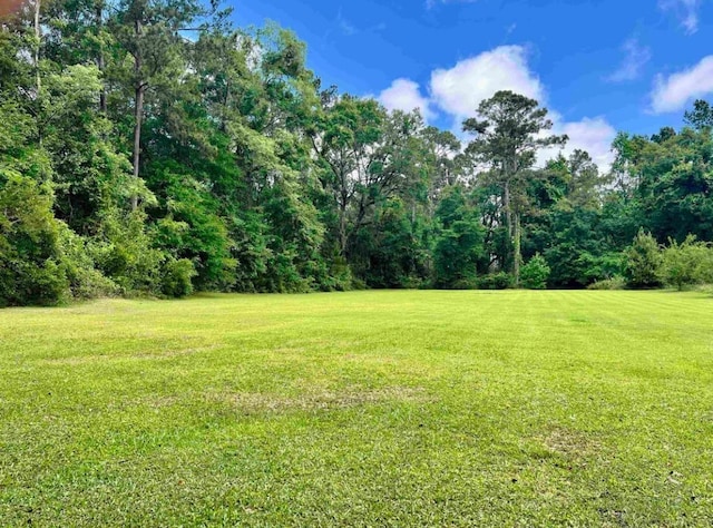 376 Tecumseh Rd, Monticello, FL 32344 - photo 6