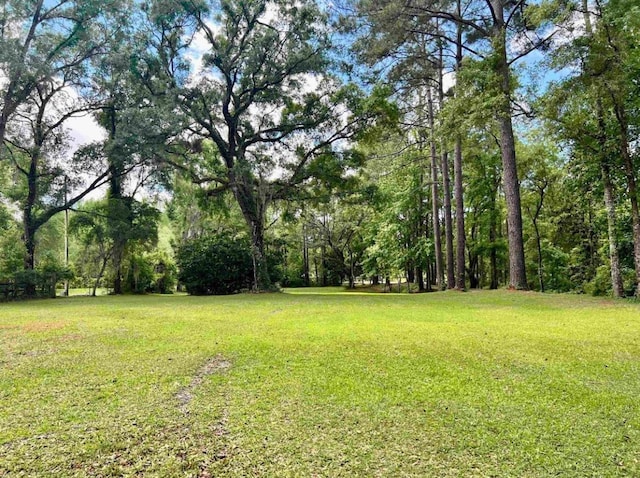 376 Tecumseh Rd, Monticello, FL 32344 - photo 37