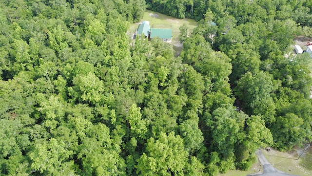 41 Strattonwood Pl, Crawfordville, FL 32327 - photo 6