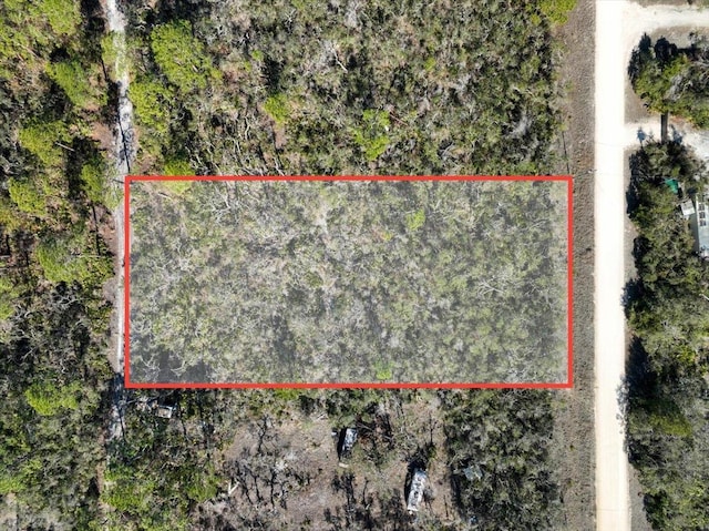 0 Fiddlers Way, Keaton Beach, FL 32348 - photo 2