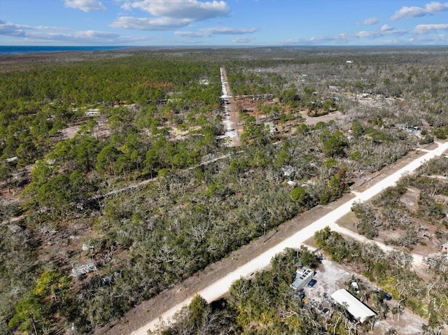 0 Fiddlers Way, Keaton Beach, FL 32348 - photo 8