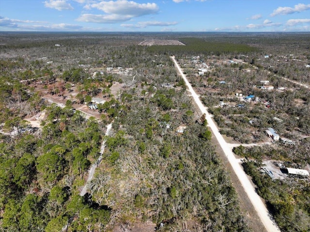 0 Fiddlers Way, Keaton Beach, FL 32348 - photo 10