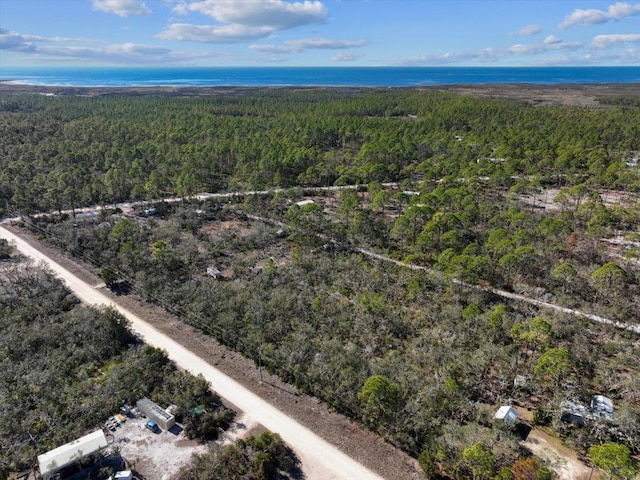 0 Fiddlers Way, Keaton Beach, FL 32348 - photo 14