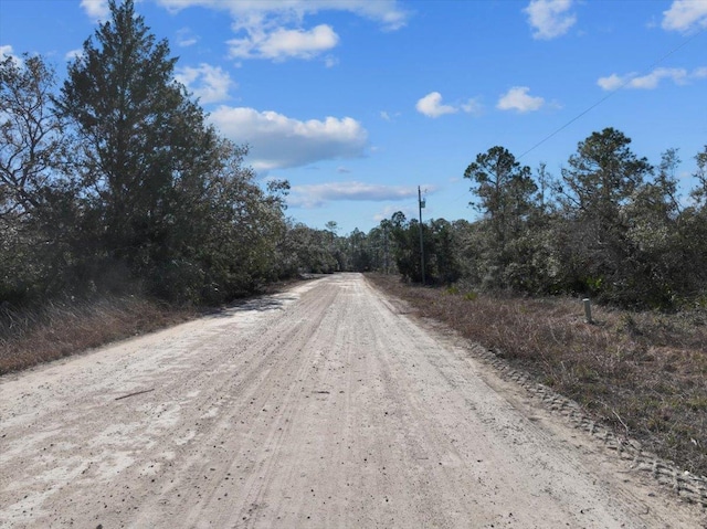 0 Fiddlers Way, Keaton Beach, FL 32348 - photo 5