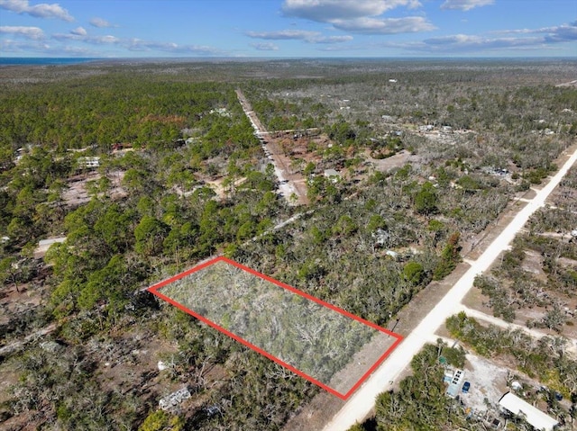 0 Fiddlers Way, Keaton Beach, FL 32348 - photo 3