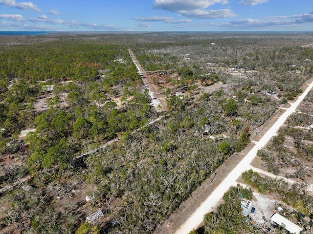 0 Fiddlers Way, Keaton Beach, FL 32348 - photo 11