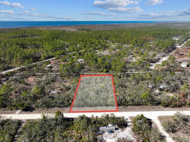 0 Fiddlers Way, Keaton Beach, FL 32348 - photo 1