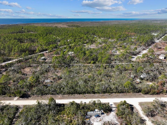 0 Fiddlers Way, Keaton Beach, FL 32348 - photo 15