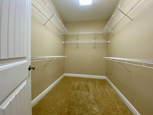 176 Linzy Store Rd, Crawfordville, FL 32327 - photo 16