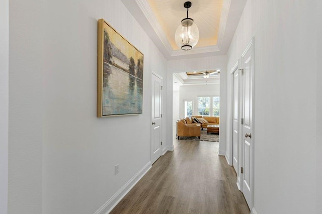 hallway featuring ornamental molding, wood-type flooring, and a tray ceiling