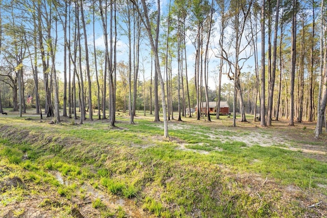 265 Still Rd, Monticello, FL 32344 - photo 37
