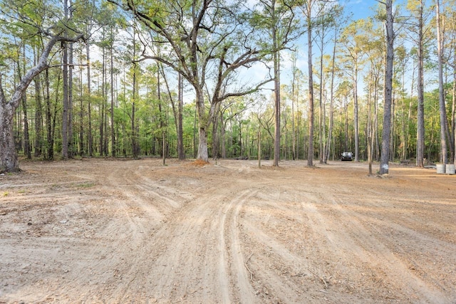 265 Still Rd, Monticello, FL 32344 - photo 34