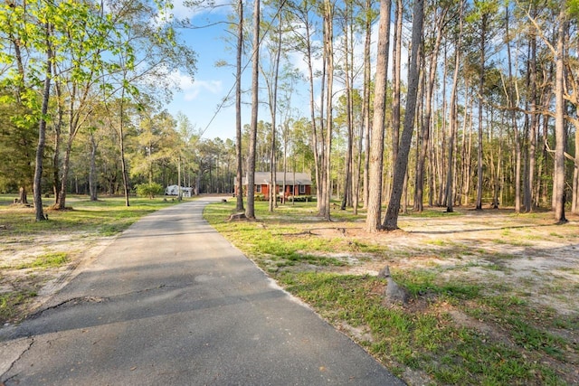 265 Still Rd, Monticello, FL 32344 - photo 39