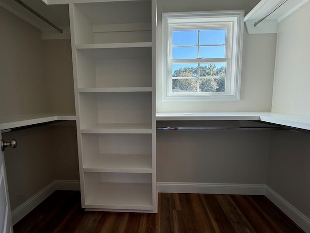 walk in closet featuring dark hardwood / wood-style floors