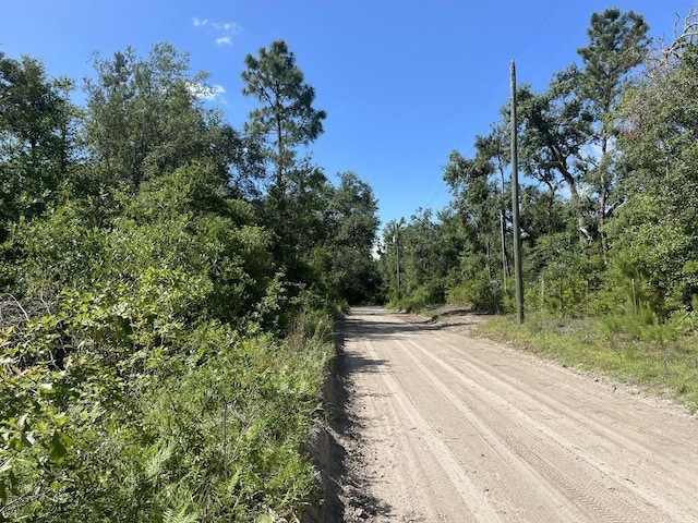 LOT63 NW 21st Pl, Jasper, FL 32052