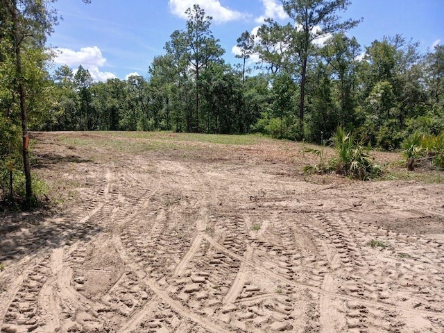 LOT63 NW 21st Pl, Jasper, FL 32052