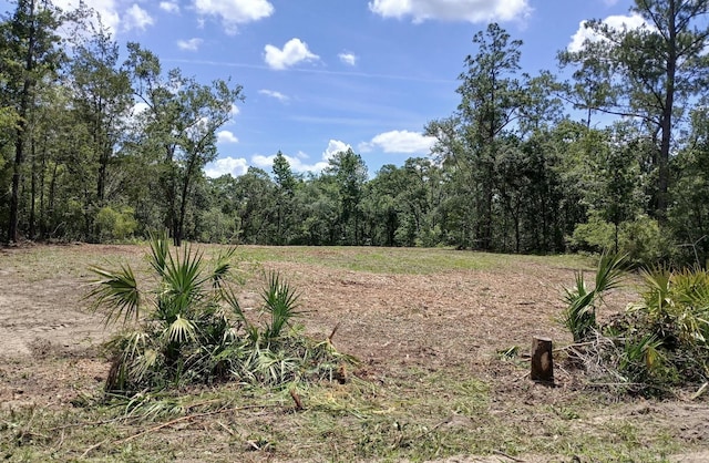 LOT63 NW 21st Pl, Jasper, FL 32052
