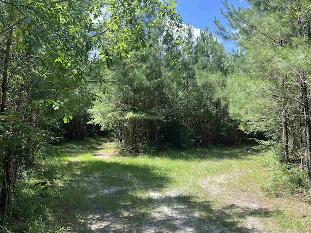 xx Hardaway Highway, Gretna, FL 32332 - photo 7