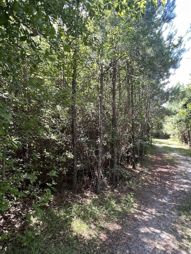 xx Hardaway Highway, Gretna, FL 32332 - photo 15