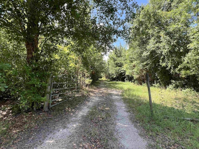 xx Hardaway Highway, Gretna, FL 32332 - photo 4