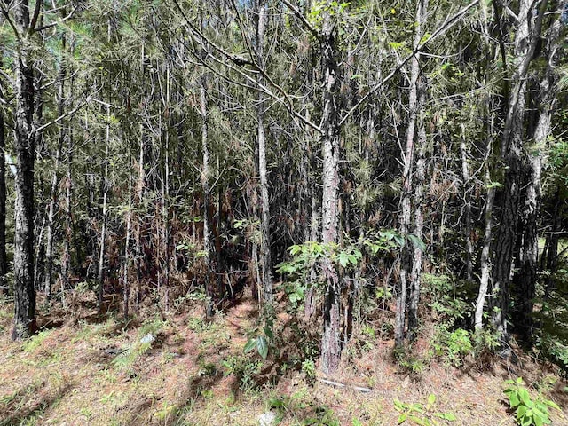 xx Hardaway Highway, Gretna, FL 32332 - photo 13