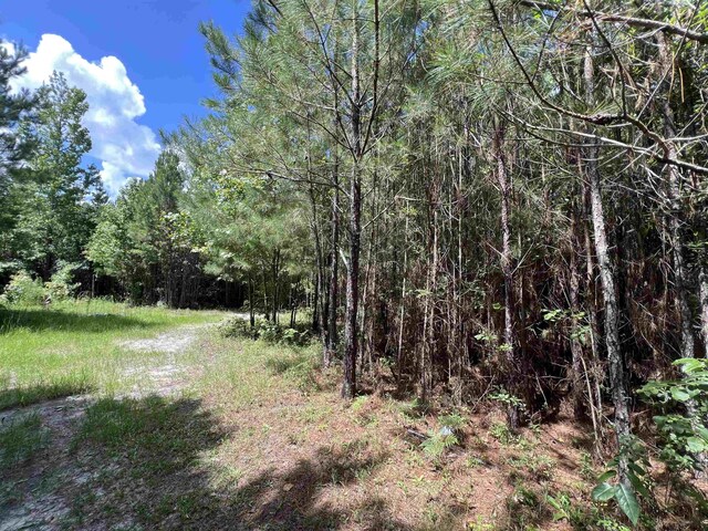 xx Hardaway Highway, Gretna, FL 32332 - photo 6