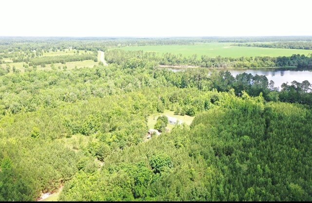 xx Hardaway Highway, Gretna, FL 32332 - photo 16