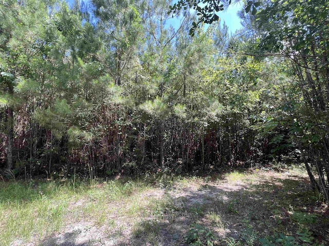 xx Hardaway Highway, Gretna, FL 32332 - photo 14