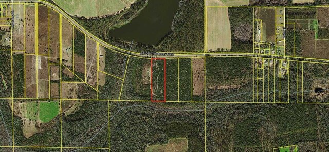 xx Hardaway Highway, Gretna, FL 32332 - photo 17
