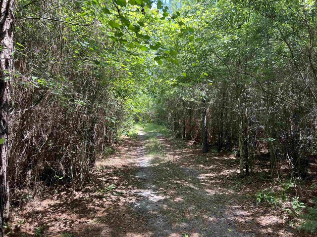 xx Hardaway Highway, Gretna, FL 32332 - photo 11